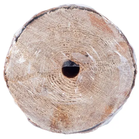 Świeca ogrodowa Woodson Citronella