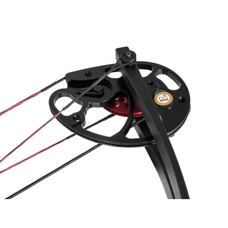 Łuk bloczkowy dla dorosłych i młodzieży  Ek Rex Quad 15-55 lb 28