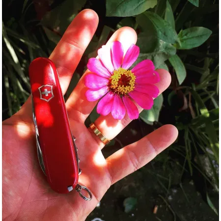 Scyzoryk Victorinox SwissChamp 1.6795