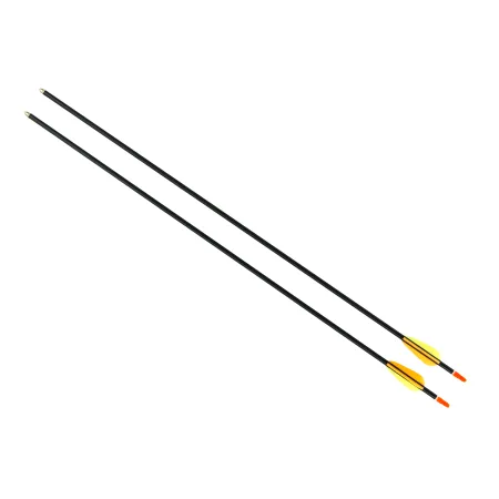 Łuk bloczkowy dla dorosłych i młodzieży Poe Lang Rex 15-55 lb 28