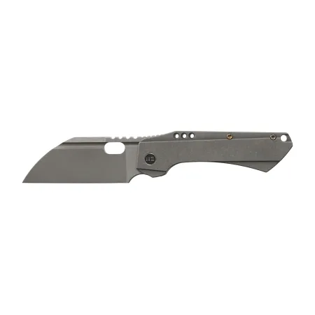 Nóż składany WE Knife Roxi 3 WE19072-1 gray