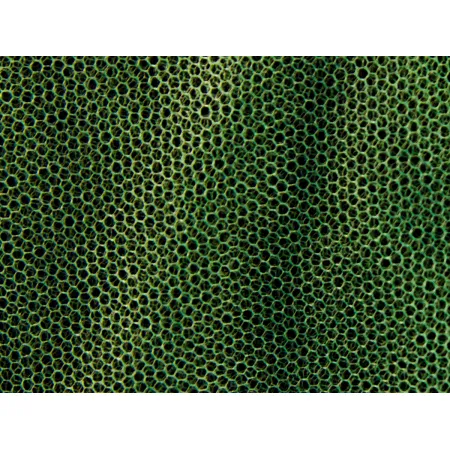 Moskitiera MFH - mała oliwkowa (0,63x2x8 m)