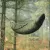 Pokrowiec Lesovik LARVA mayfly green