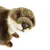 Maskotka Uni-Toys Wydra 23 cm