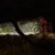Lampa rowerowa Fenix BC26R