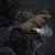 Latarka taktyczna LED Fenix PD36 Tac
