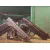 Pistolet wiatrówka RazorGun Maverick 84 4,5 mm BB CO2