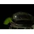 Lampa kempingowa Fenix CL26R zielona