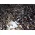 Latarka LED Fenix LD22 V2.0