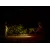 Lampa rowerowa Fenix BC25R